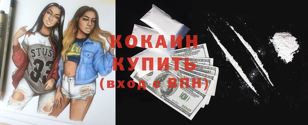 сатива Волоколамск