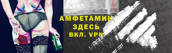 сатива Волоколамск