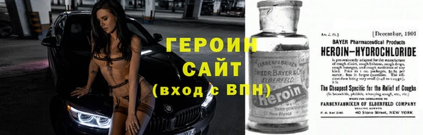 прущие грибы Вязьма