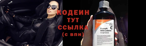 сатива Волоколамск
