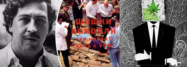 сатива Волоколамск