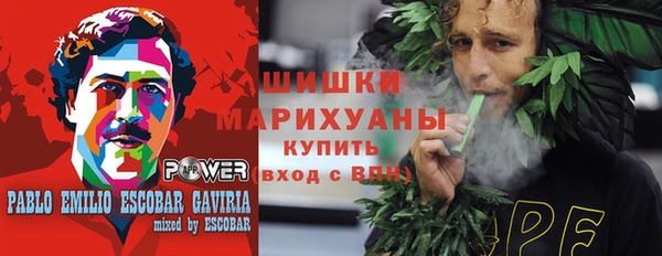 сатива Волоколамск